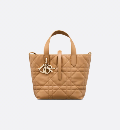 Small Dior Toujours Vertical Tote Bag